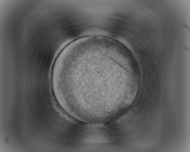 X0000092230864200710121216