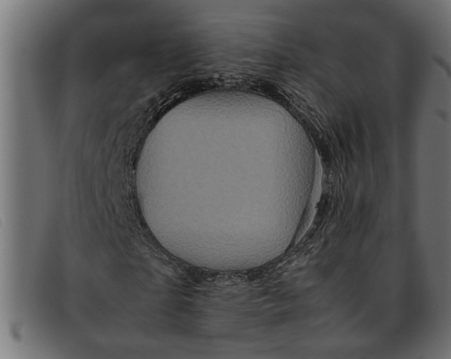 X0000092230865200710121216