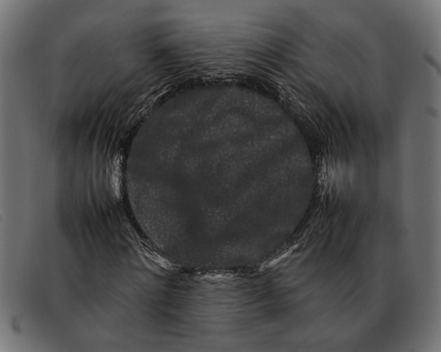 X0000092230868200710121216