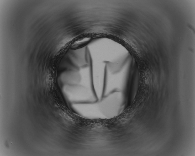 X0000092230872200710121216