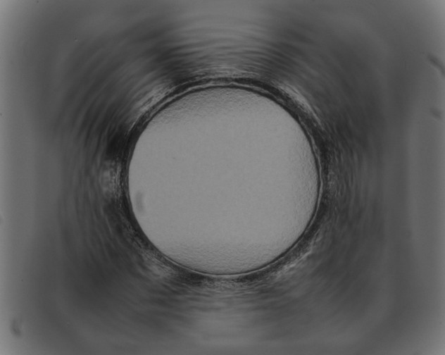 X0000092230873200710121216