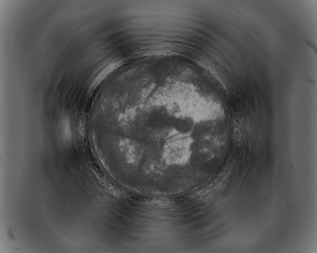 X0000092230874200710121216