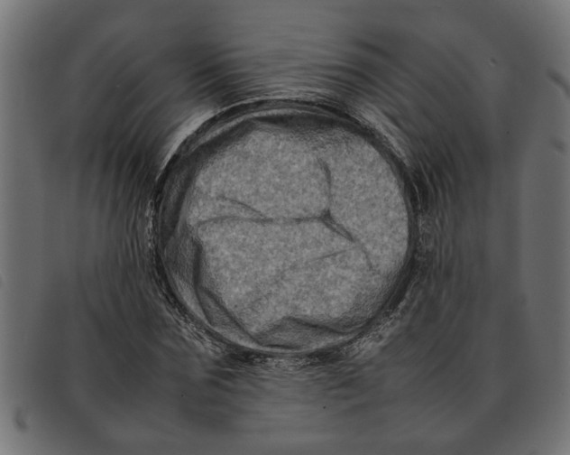 X0000092230875200710121216