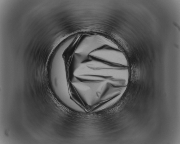 X0000092230876200710121215