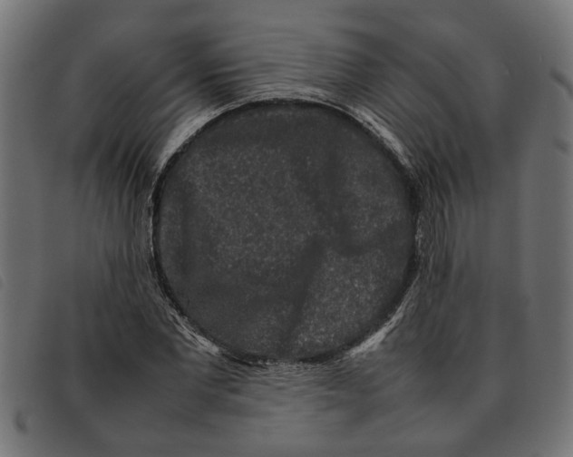 X0000092230877200710121215