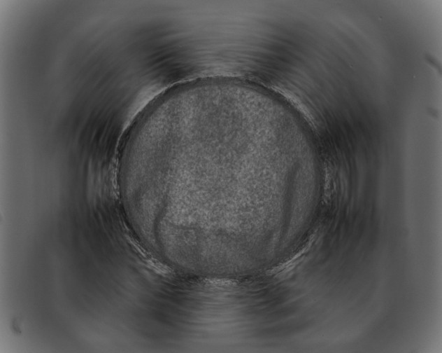 X0000092230878200710121215