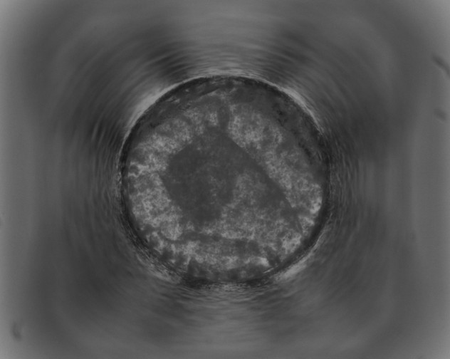 X0000092230879200710121215