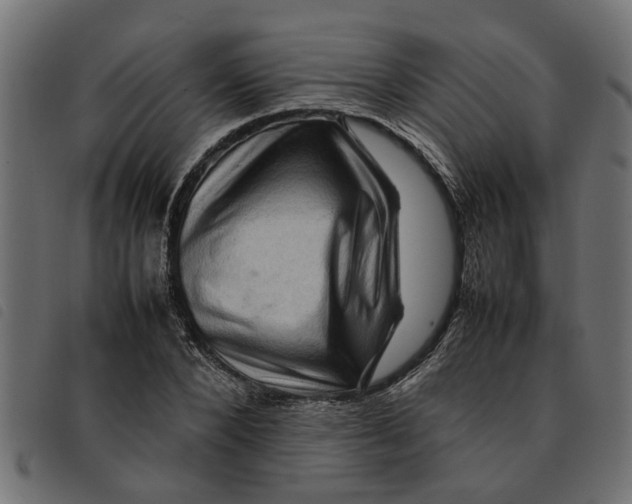 X0000092230880200710121215