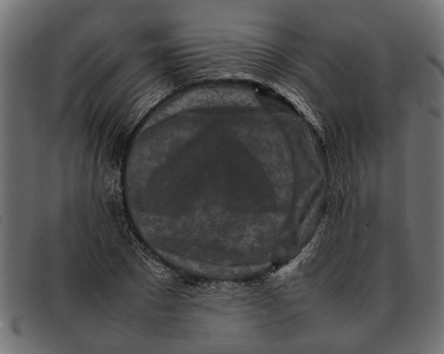 X0000092230881200710121215