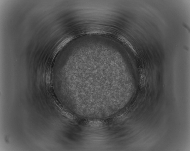 X0000092230882200710121215