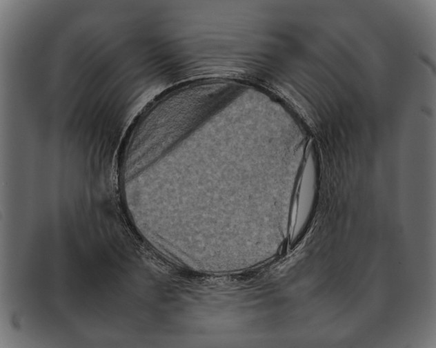 X0000092230883200710121215