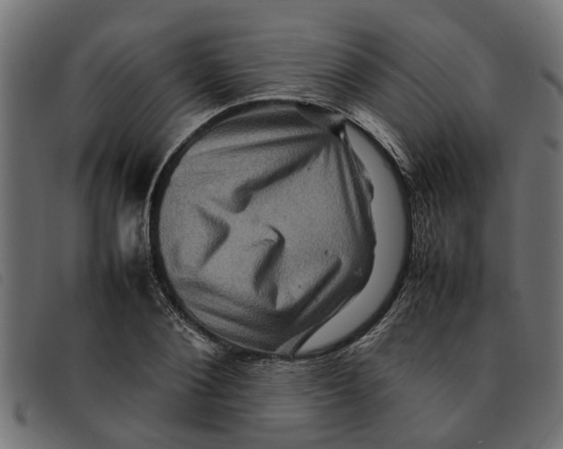 X0000092230884200710121215