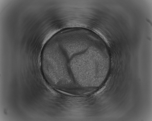 X0000092230885200710121215