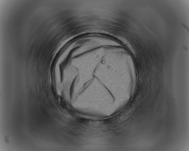 X0000092230887200710121215