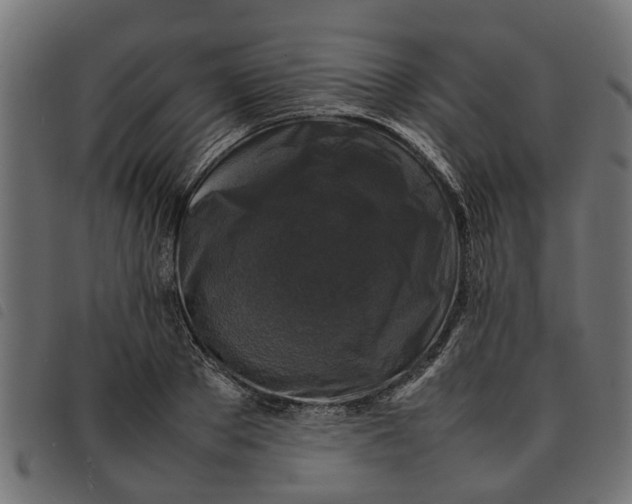 X0000092230889200710121215