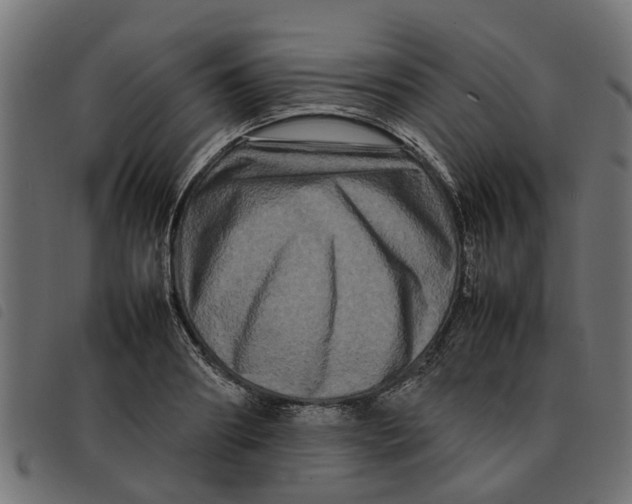 X0000092230890200710121215