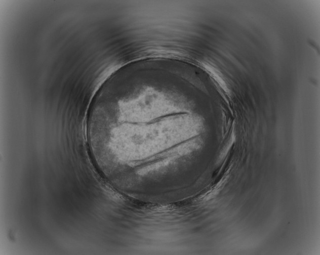 X0000092230891200710121215