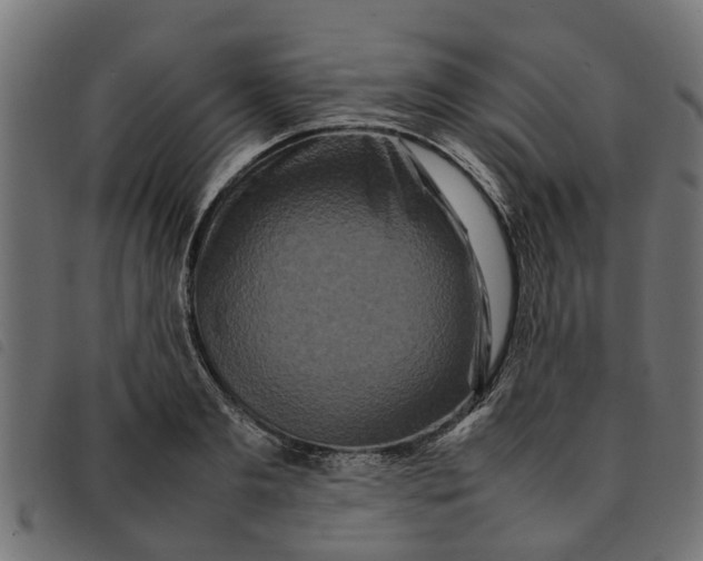 X0000092230893200710121215