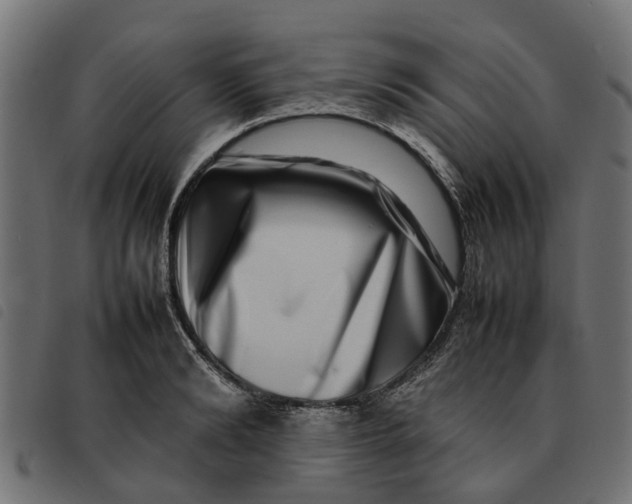 X0000092230894200710121215