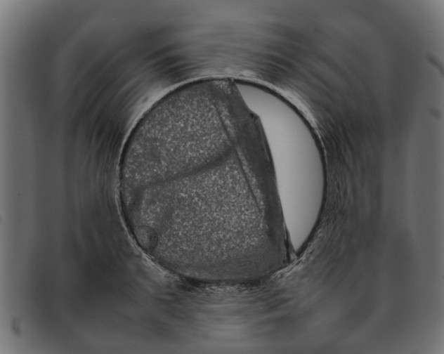 X0000092230895200710121215