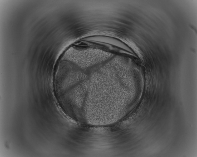 X0000092230896200710121215