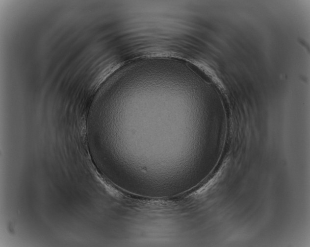 X0000092230897200710121215