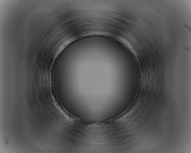 X0000092230898200710121215