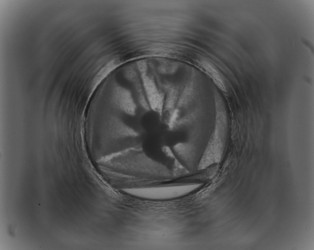 X0000092230899200710121215