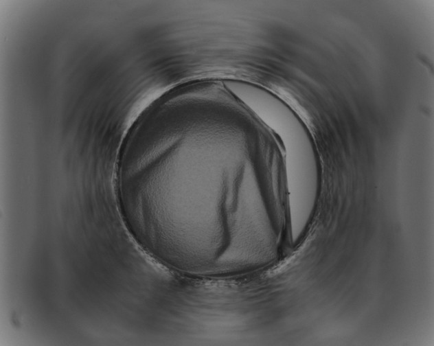 X0000092230901200710121215