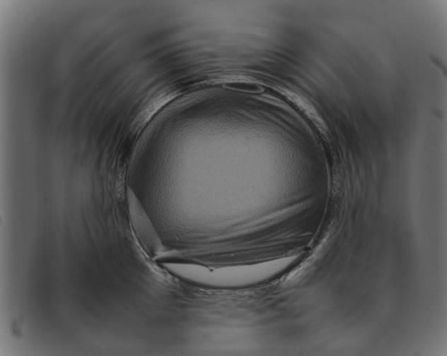 X0000092230905200710121215