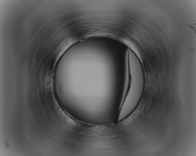 X0000092230906200710121215