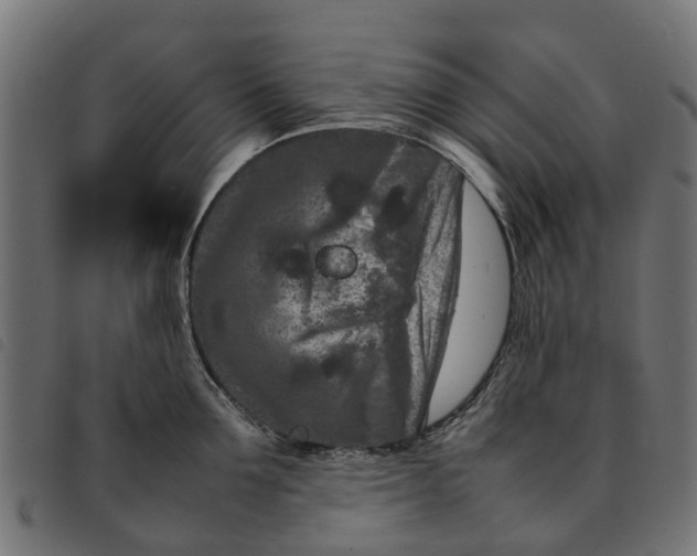 X0000092230907200710121215