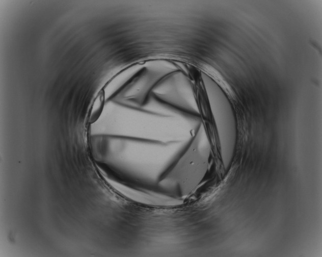 X0000092230908200710121215