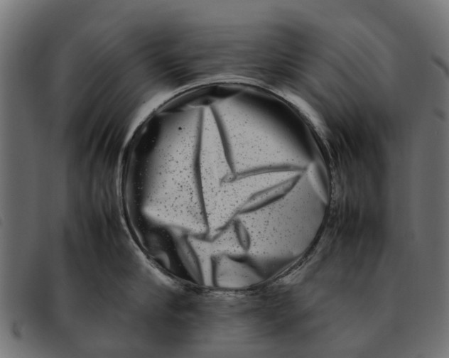 X0000092230910200710121215