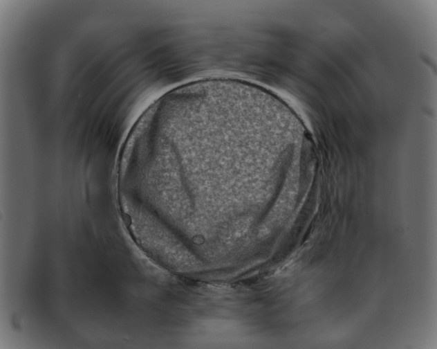 X0000092230911200710121215