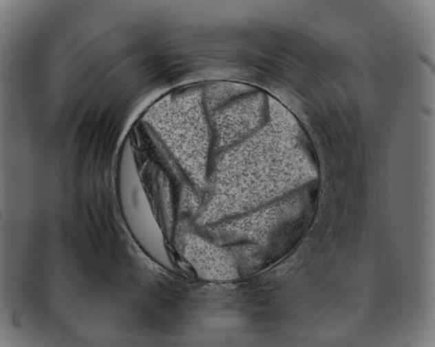 X0000092230912200710121215