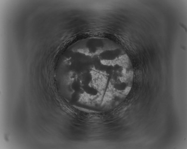 X0000092230913200710121214