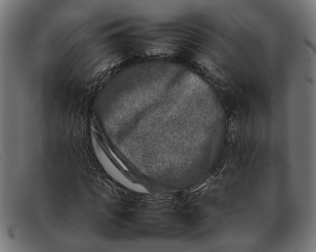 X0000092230917200710121214