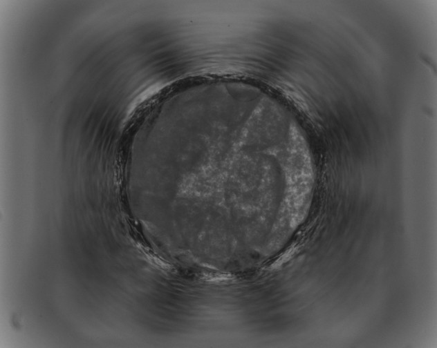 X0000092230920200710121214