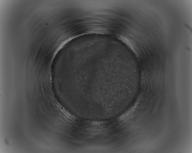 X0000092230923200710121214