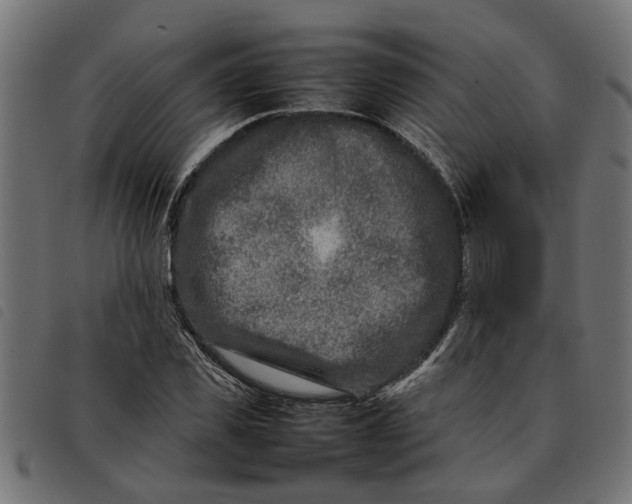 X0000092230925200710121215