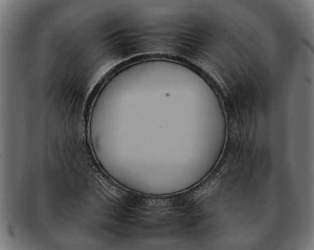 X0000092230927200710121215