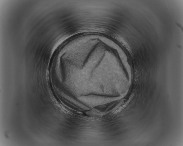 X0000092230928200710121215