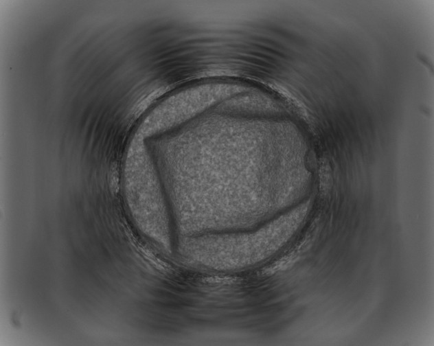 X0000092230929200710121215