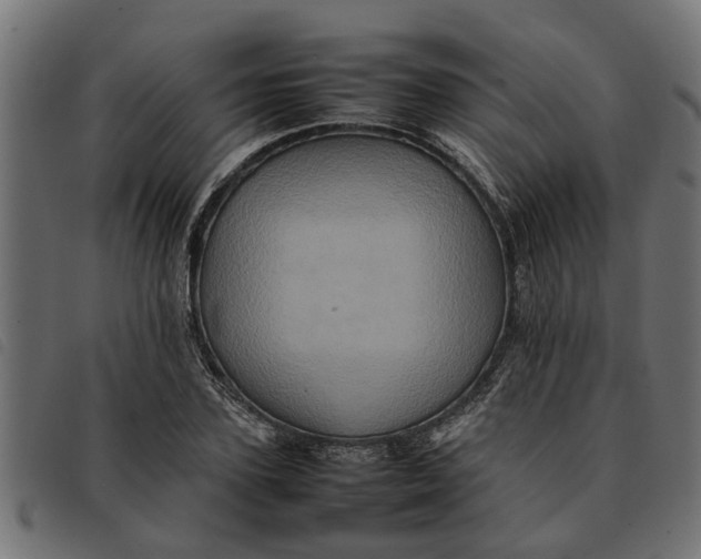 X0000092230931200710121215