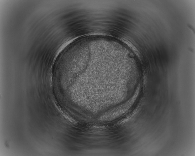 X0000092230933200710121215