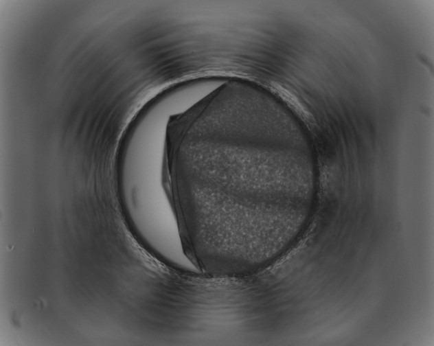 X0000092230934200710121215