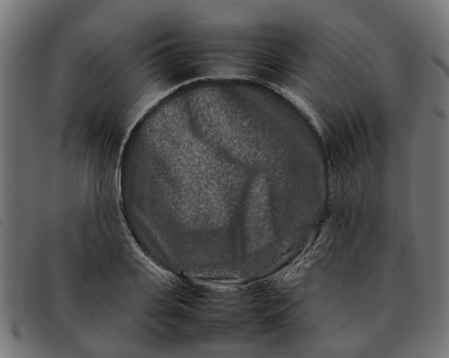 X0000092230935200710121215