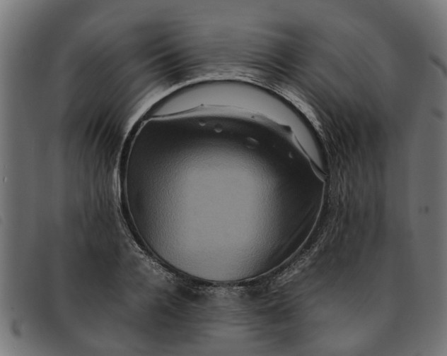 X0000092230936200710121215