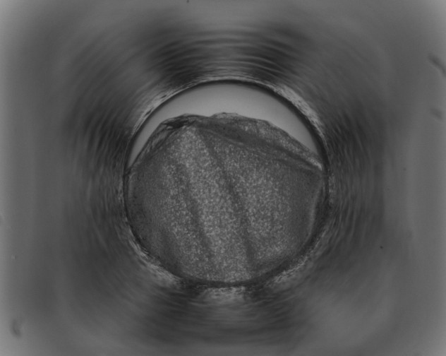 X0000092230937200710121215